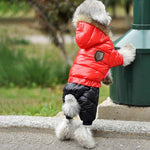 Winter Jacket for Dogs InfiniteWags 