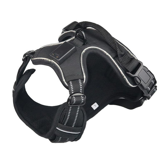 LED Light Up Dog Harness - Flashing or Constant Light - Nylon InfiniteWags 