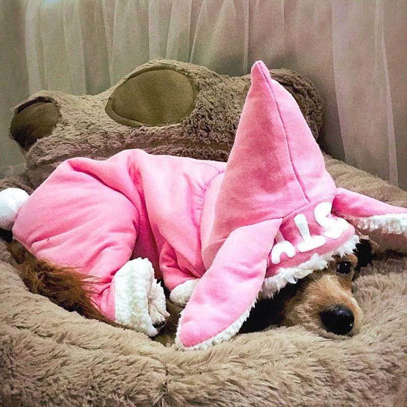 Hooded Bunny Ear Dog Sweater - One Piece InfiniteWags 