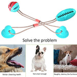 Dog Suction Cup Ball - Interactive Tug Toy InfiniteWags 