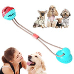 Dog Suction Cup Ball - Interactive Tug Toy InfiniteWags 