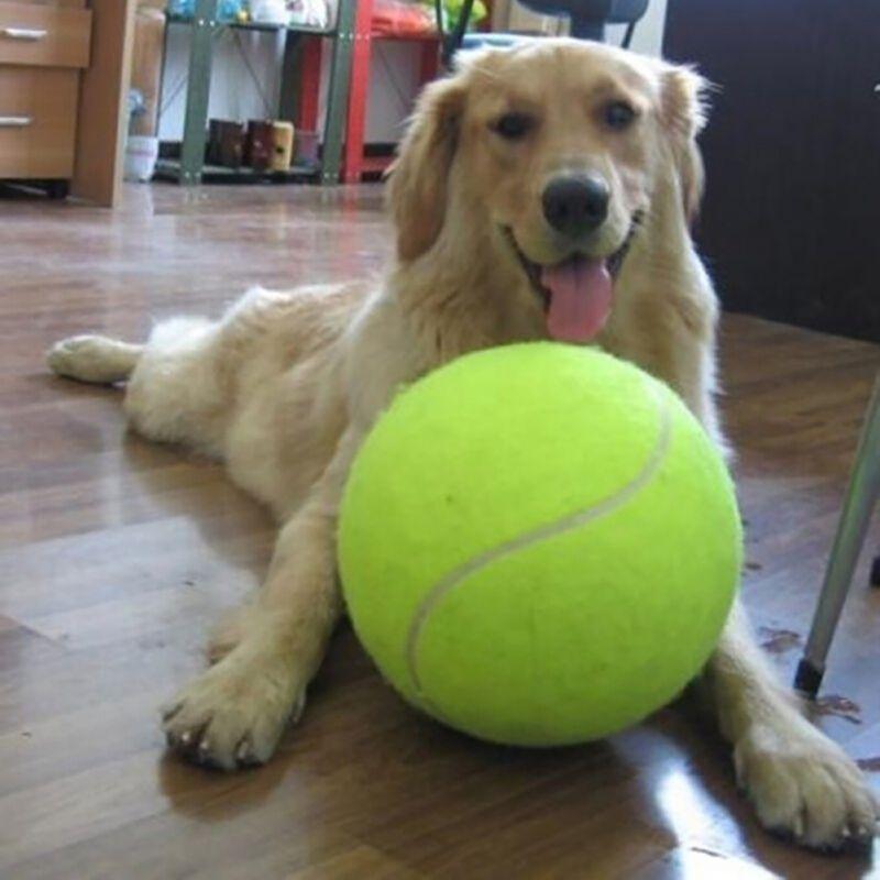 Oversize Tennis Ball Dog Toy InfiniteWags 