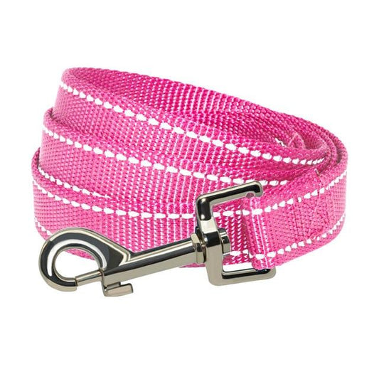 Nylon Reflective Dog Leash InfiniteWags Pink 2.0cm x 150cm 