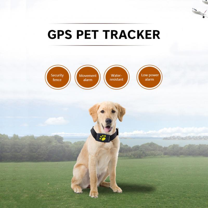 Water-Resistant GPS Tracker Dog Collar InfiniteWags 