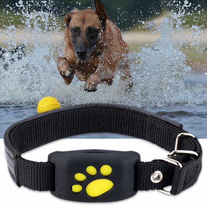 Water-Resistant GPS Tracker Dog Collar InfiniteWags 