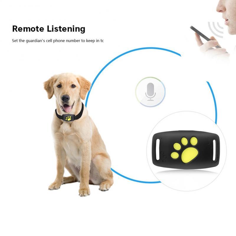 Water-Resistant GPS Tracker Dog Collar InfiniteWags 