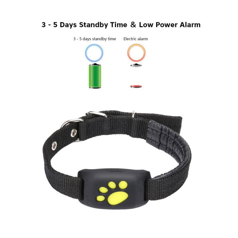 Water-Resistant GPS Tracker Dog Collar InfiniteWags 
