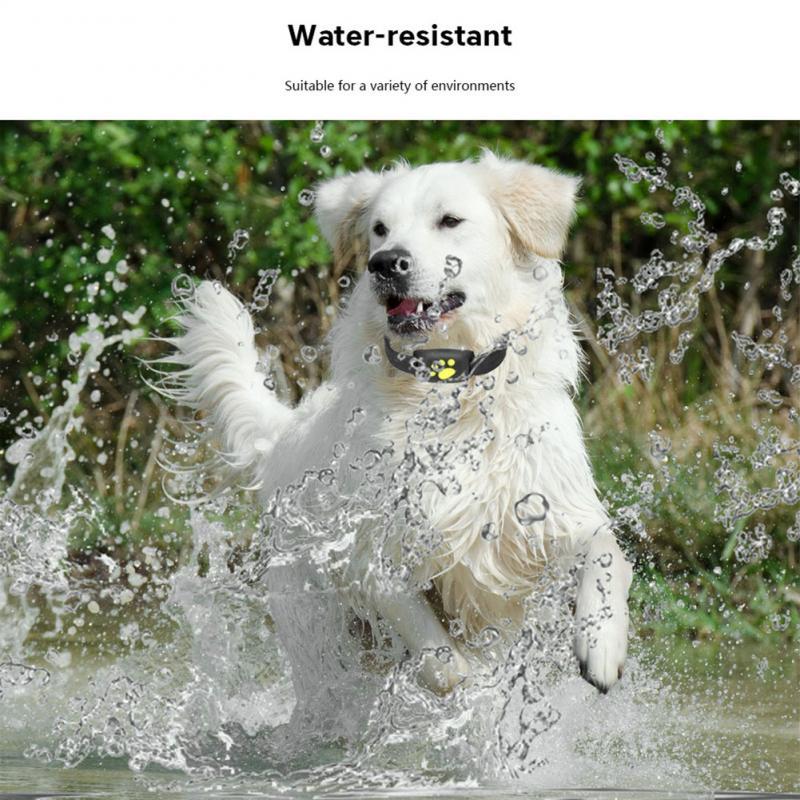Water-Resistant GPS Tracker Dog Collar InfiniteWags 