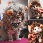 Cat Lion Mane Wig with Ears - Pet Lion Mane Costume InfiniteWags 