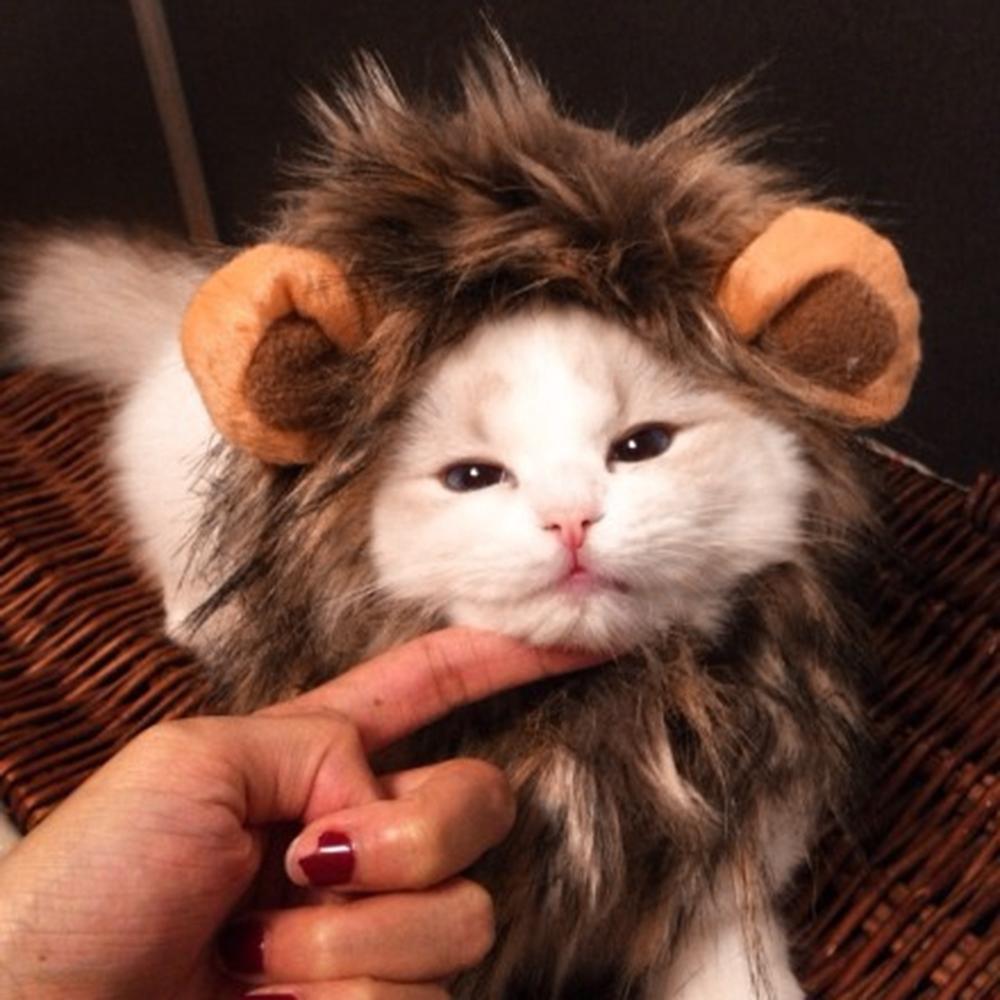 Cat Lion Mane Wig with Ears - Pet Lion Mane Costume InfiniteWags 