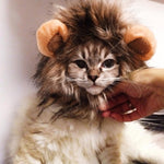 Cat Lion Mane Wig with Ears - Pet Lion Mane Costume InfiniteWags 