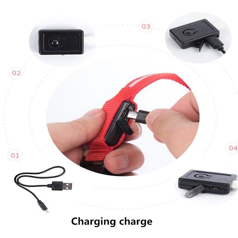 LED Light Up Dog Collar - USB Rechargeable InfiniteWags 