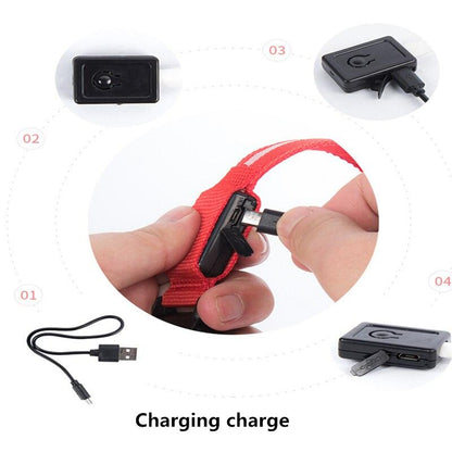 LED Light Up Dog Collar - USB Rechargeable InfiniteWags 