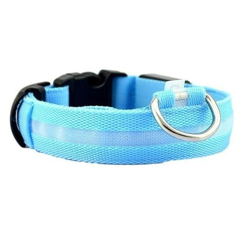 LED Light Up Dog Collar - USB Rechargeable InfiniteWags Blue L 45-52 CM 