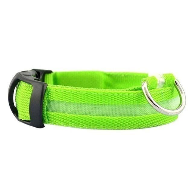 LED Light Up Dog Collar - USB Rechargeable InfiniteWags Green XL 52-60 CM 