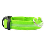 LED Light Up Dog Collar - USB Rechargeable InfiniteWags Green XL 52-60 CM 