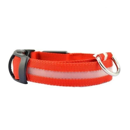 LED Light Up Dog Collar - USB Rechargeable InfiniteWags Red S 32-42 CM 