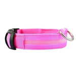 LED Light Up Dog Collar - USB Rechargeable InfiniteWags Pink XS 28-40 CM 