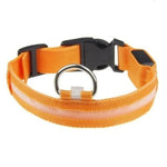LED Light Up Dog Collar - USB Rechargeable InfiniteWags Orange M 40-48 CM 