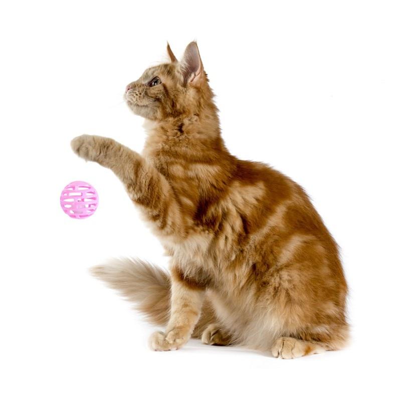 Cat Bell Balls - 6 Pcs Variety Pack - Interactive Toy Balls InfiniteWags 