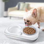 Automatic Water Dispenser Double Pet Bowl InfiniteWags 