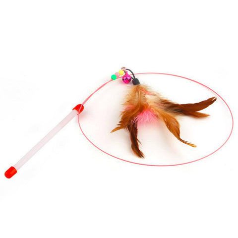 Cat Feather Teaser Wand - 43" InfiniteWags 