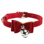 Bow Cat Collar with Bell InfiniteWags Red 