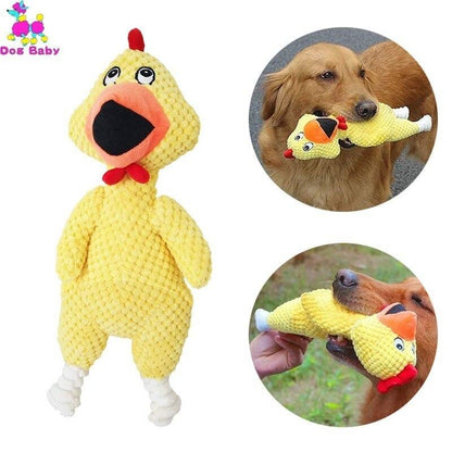 Screaming Chicken Dog Toy InfiniteWags 