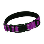 Nylon Reflective Padded Dog Collar InfiniteWags Purple L 