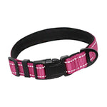 Nylon Reflective Padded Dog Collar InfiniteWags Rose Red L 