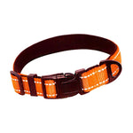Nylon Reflective Padded Dog Collar InfiniteWags Orange L 
