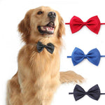 Pet Bow Tie - Adjustable - For Dogs and Cats InfiniteWags 