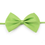 Pet Bow Tie - Adjustable - For Dogs and Cats InfiniteWags Green 