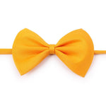 Pet Bow Tie - Adjustable - For Dogs and Cats InfiniteWags Orange 