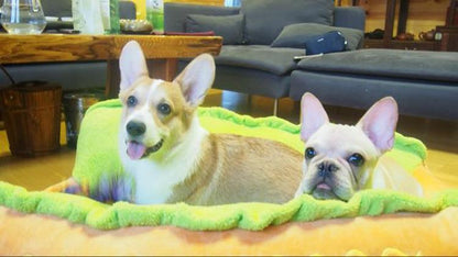 Hot Dog Bed for Dogs InfiniteWags 