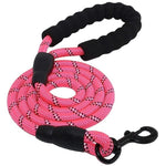 Heavy Duty Nylon Dog Leash - Padded Handle - 5ft InfiniteWags Pink 