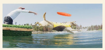 Flying Disc Rubber Dog Toy InfiniteWags 