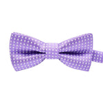 Dog Bow Tie InfiniteWags Purple 