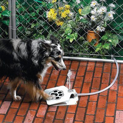 Automatic Dog Pedal Water Fountain - Hose Connection InfiniteWags 