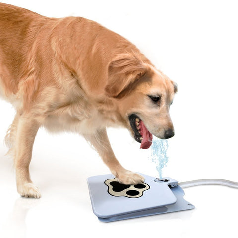 Automatic Dog Pedal Water Fountain - Hose Connection InfiniteWags 