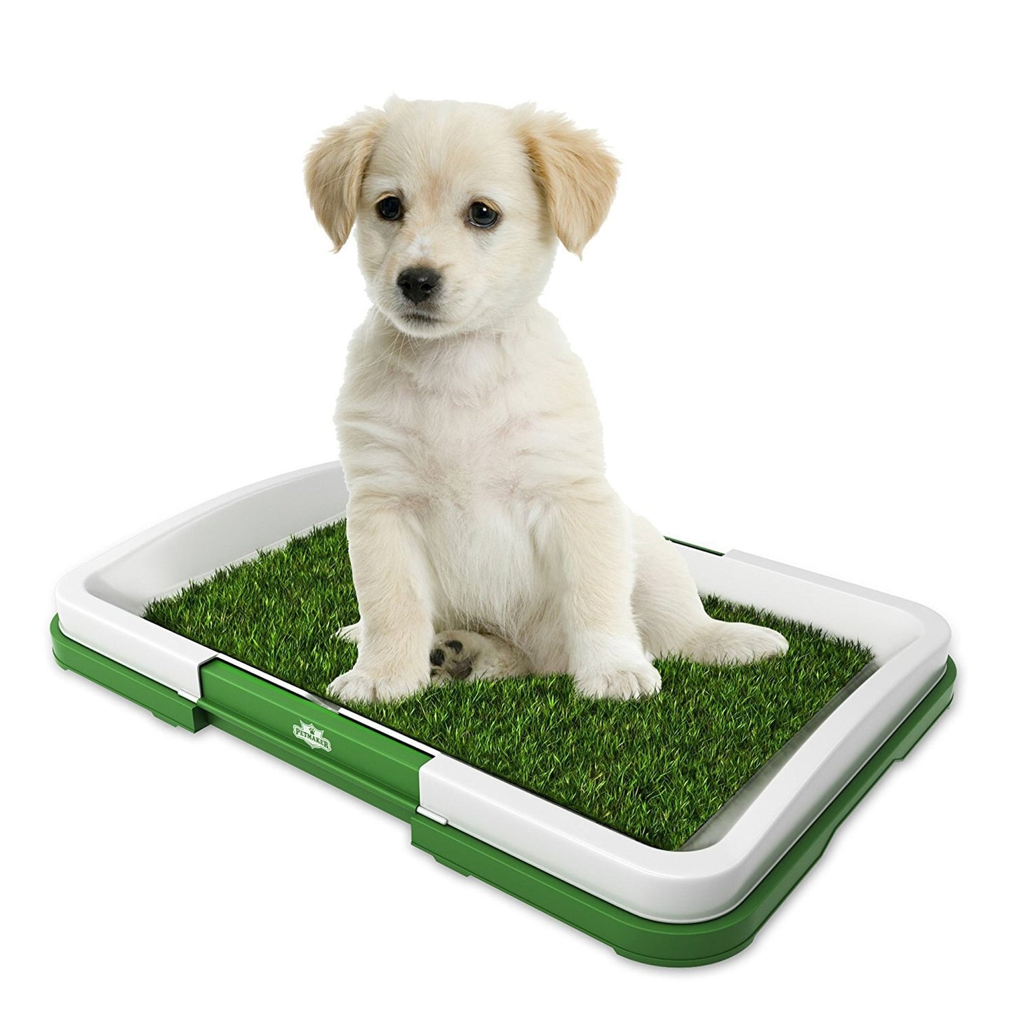 Synthetic Grass Dog Potty Pad - Dog Potty Training Aid InfiniteWags 