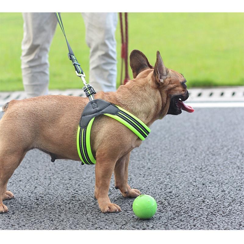 Padded Dog Harness - Nylon InfiniteWags 