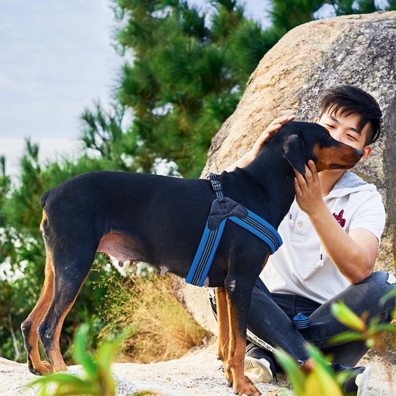 Padded Dog Harness - Nylon InfiniteWags 