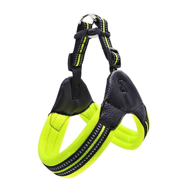 Padded Dog Harness - Nylon InfiniteWags Green XS 
