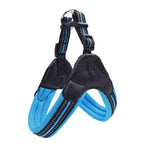Padded Dog Harness - Nylon InfiniteWags Blue XS 