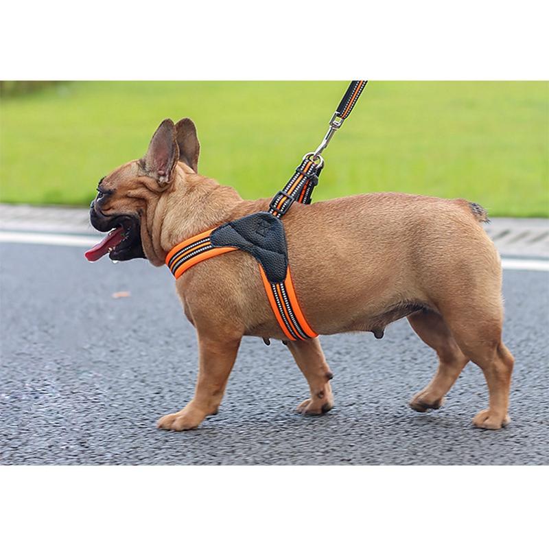 Padded Dog Harness - Nylon InfiniteWags 