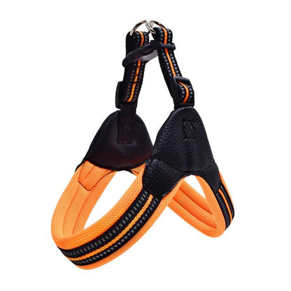 Padded Dog Harness - Nylon InfiniteWags 