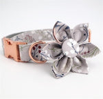 Lux Wild Flower Collar and Leash Set InfiniteWags 