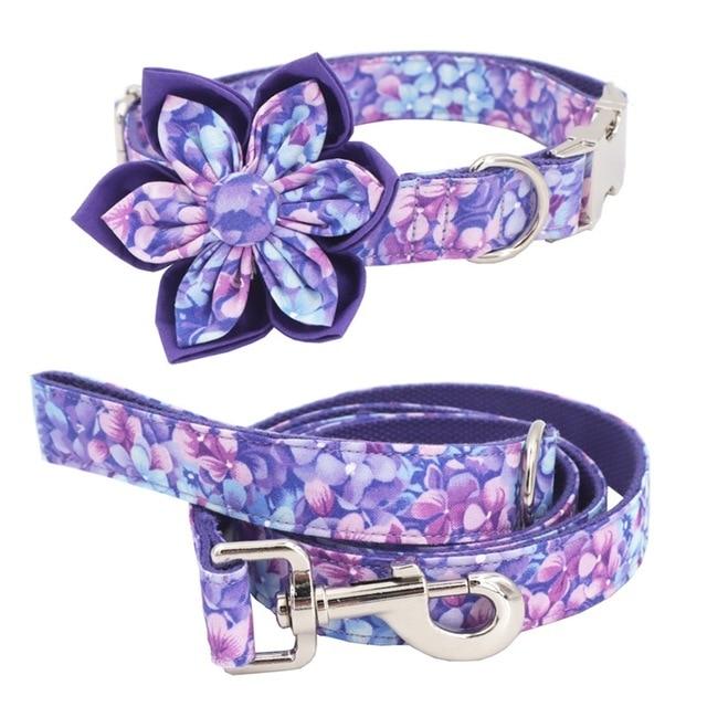 Neon Dreams Collar and Leash Set InfiniteWags 