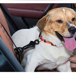 Dog Seat Belt Safety Collar Clip - Quick Release - Universal Adapter InfiniteWags 